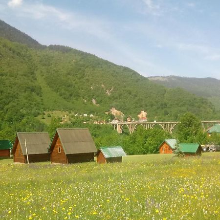 Kamp Rafting Kljajevica Luka Villa Плевля Стая снимка