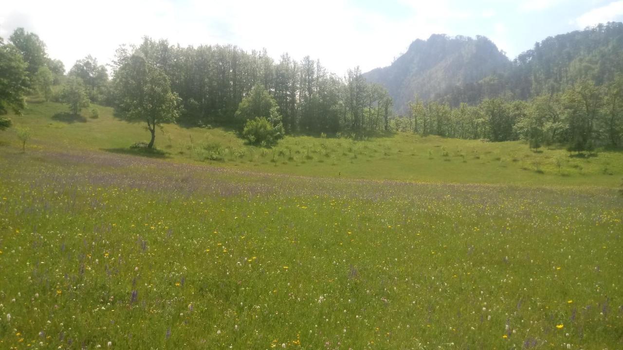 Kamp Rafting Kljajevica Luka Villa Плевля Екстериор снимка